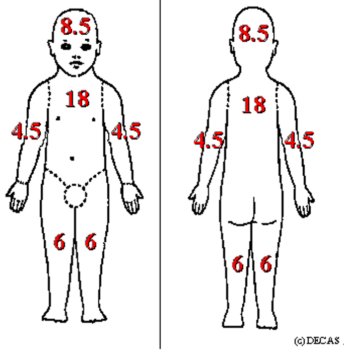 特应性皮炎2岁以上儿童各部位占体表面积比例示意图