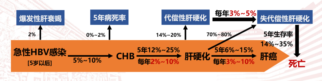 慢性乙型病毒性肝炎的不良结果