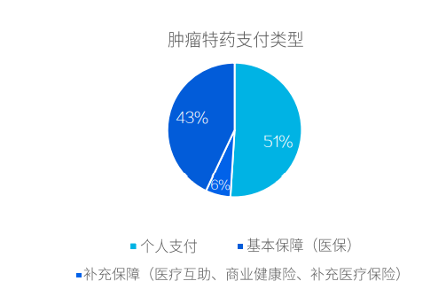 肿瘤特药支付类型