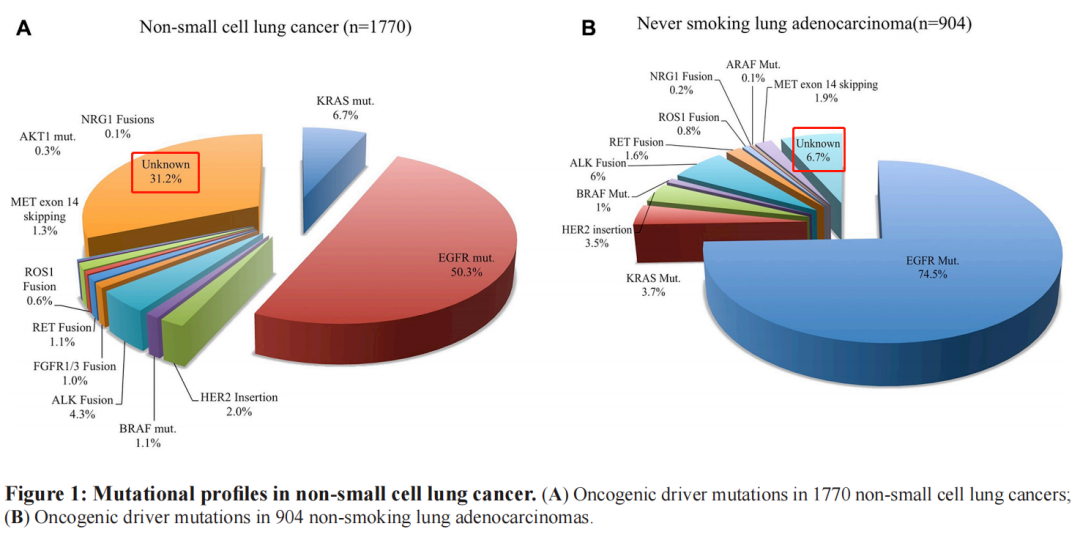肺癌基因突变概率