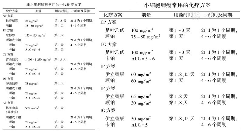 肺癌化疗方案