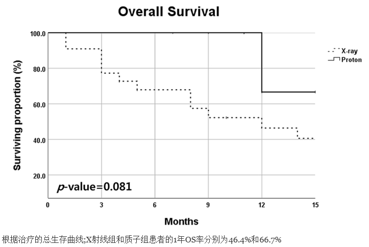 质子治疗肺癌的数据