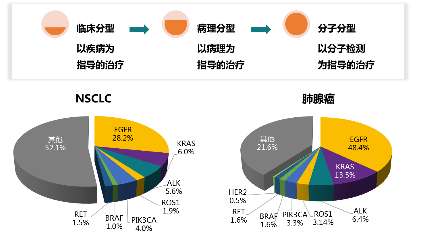 肺癌基因突变