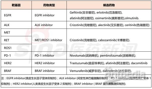 肺癌基因突变及匹配的靶向药物