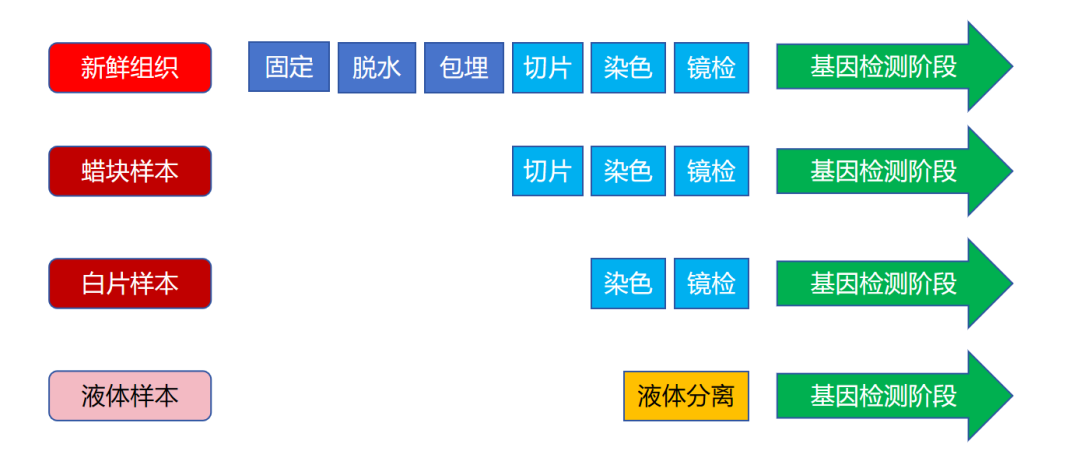 基因检测不同样本的区别