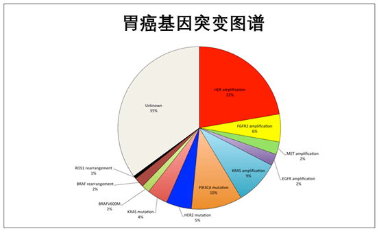 胃癌基因突变图谱