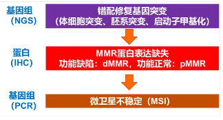 MMR基因/MR蛋白与MSI-H的关系