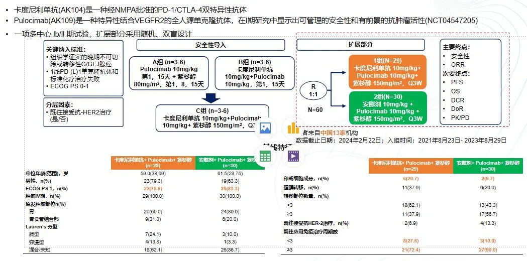 卡度尼单抗联合治疗方案